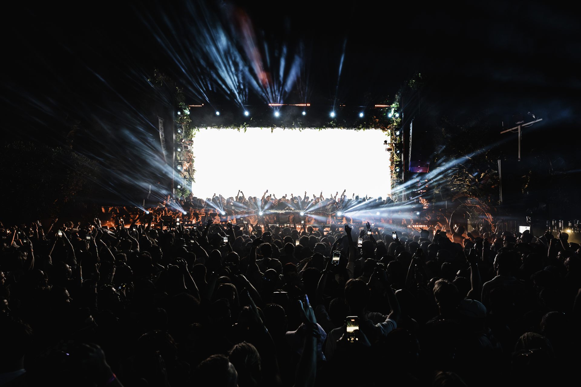 Zamna Malta crowd
